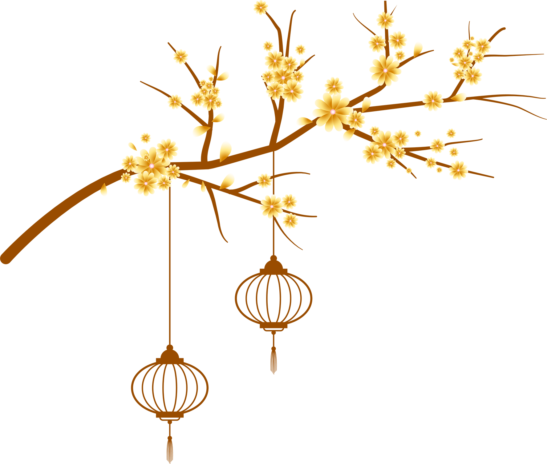 Apricot Blossom