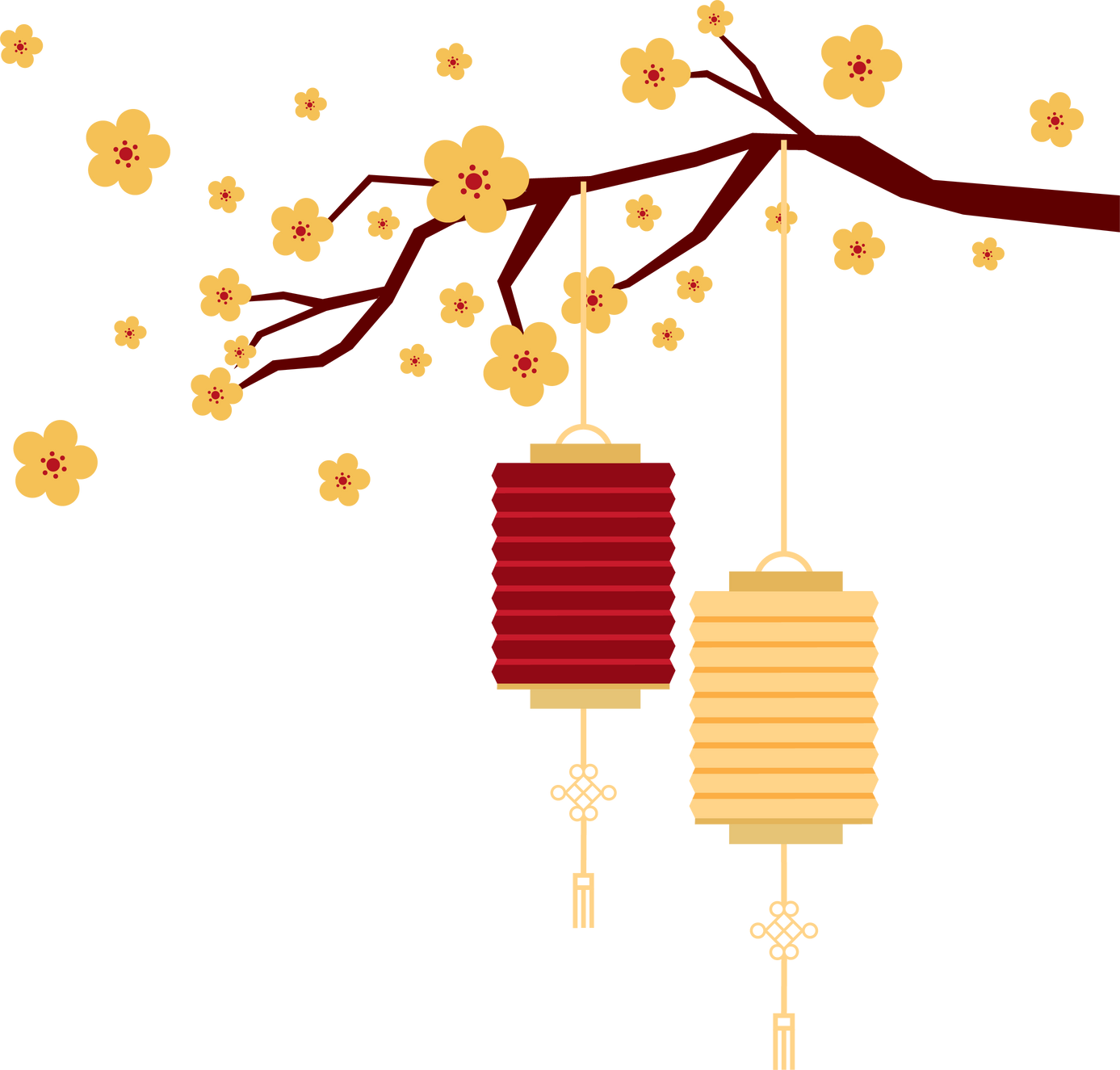 Apricot Blossom