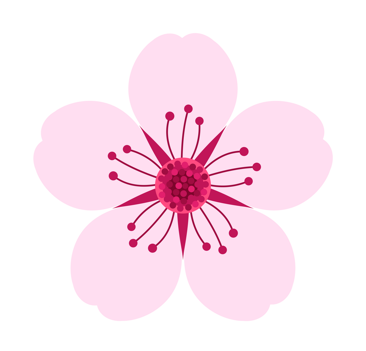 Apricot Blossom