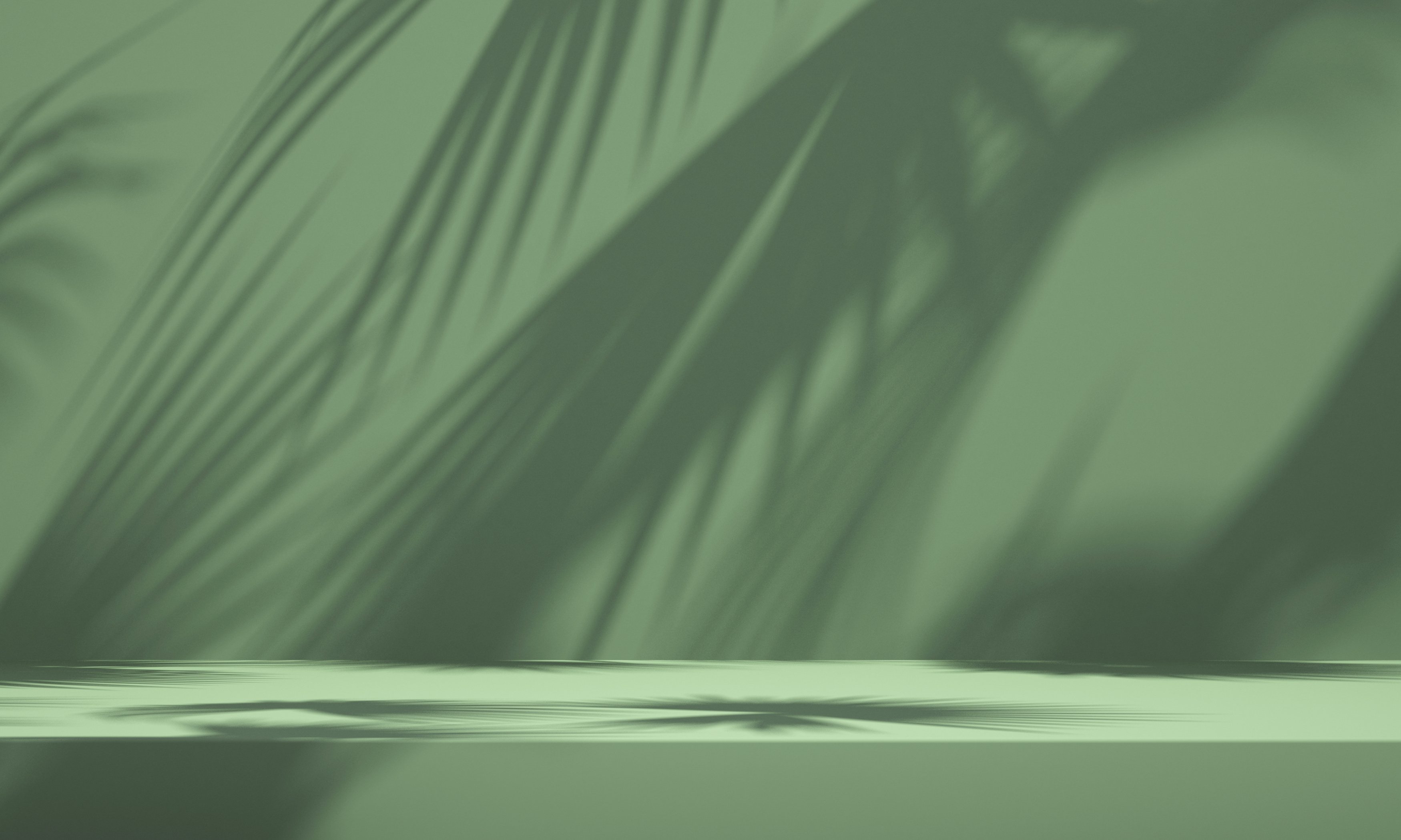 3D Green Background with Leaf Shadow 