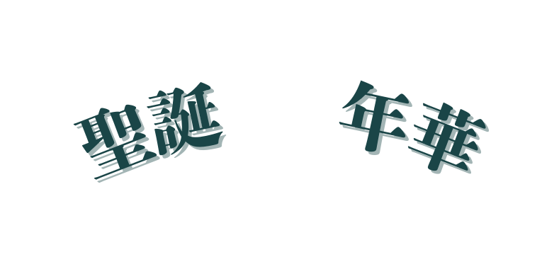 聖誕 年華