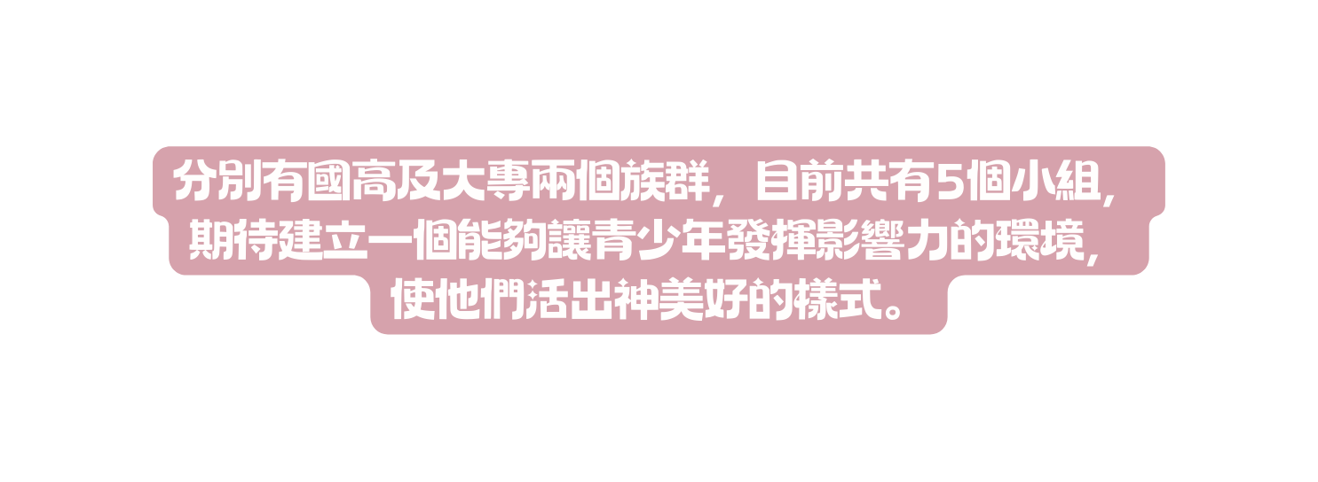 分別有國高及大專兩個族群 目前共有5個小組 期待建立一個能夠讓青少年發揮影響力的環境 使他們活出神美好的樣式