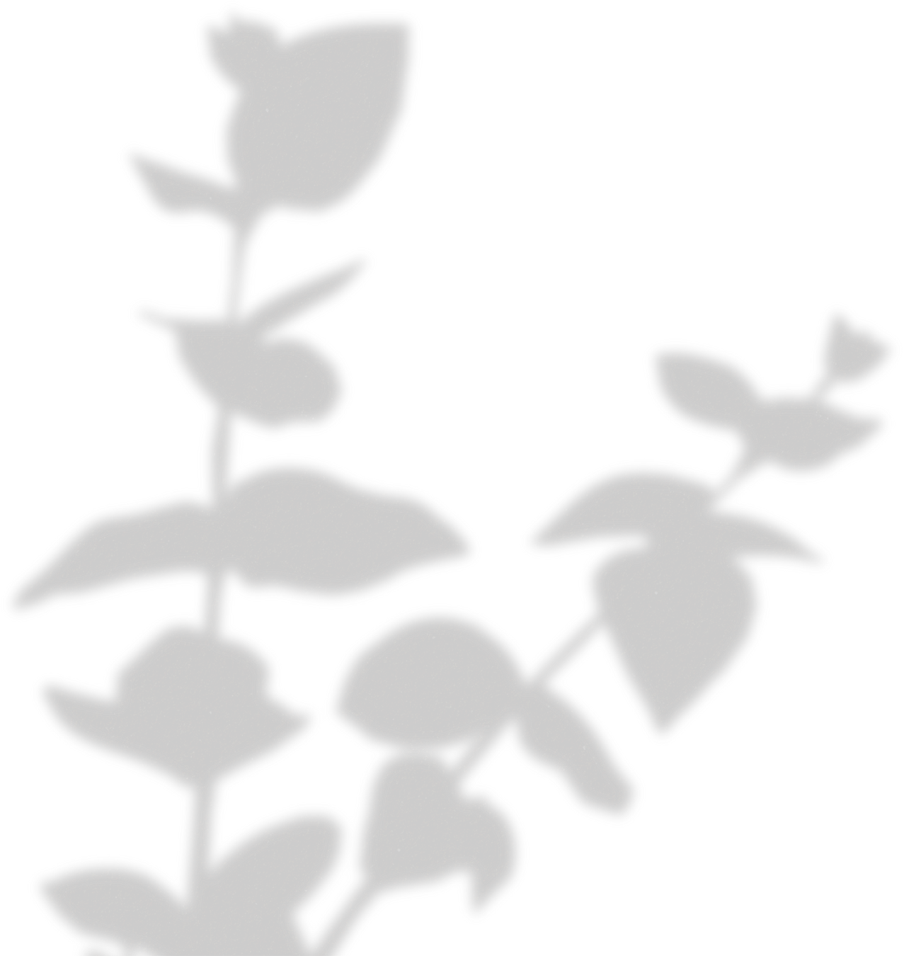 Simple Floral Shadow Stems