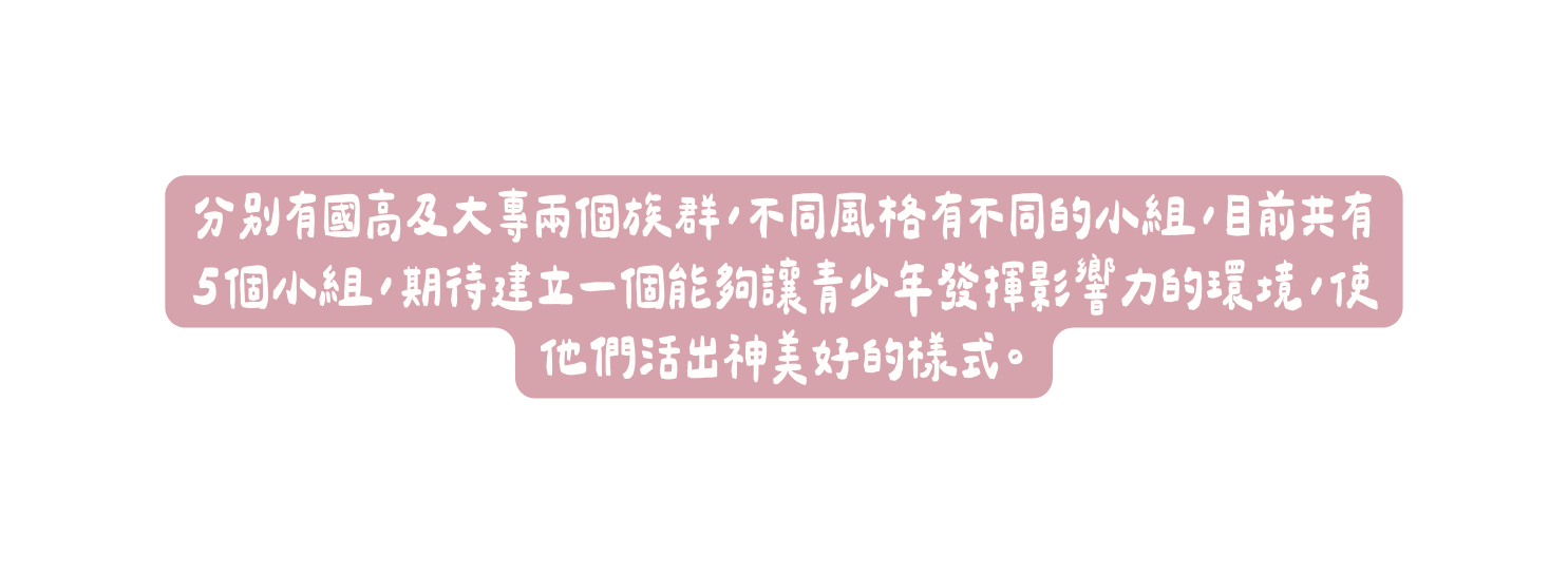 分別有國高及大專兩個族群 不同風格有不同的小組 目前共有5個小組 期待建立一個能夠讓青少年發揮影響力的環境 使他們活出神美好的樣式