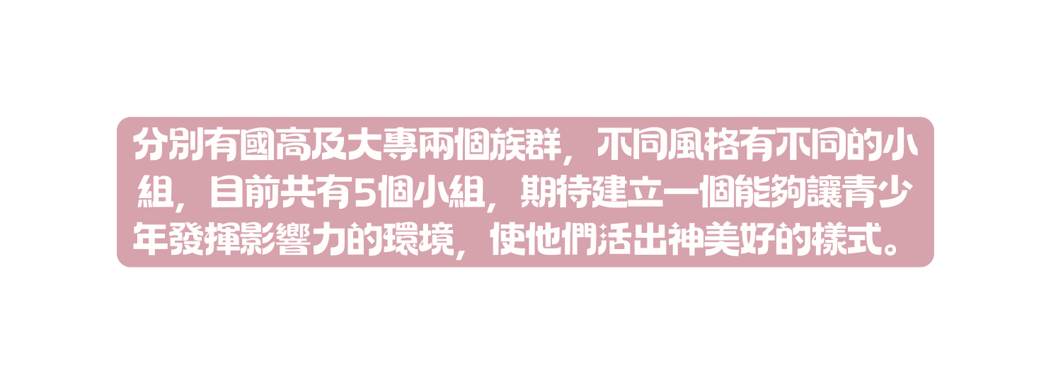 分別有國高及大專兩個族群 不同風格有不同的小組 目前共有5個小組 期待建立一個能夠讓青少年發揮影響力的環境 使他們活出神美好的樣式