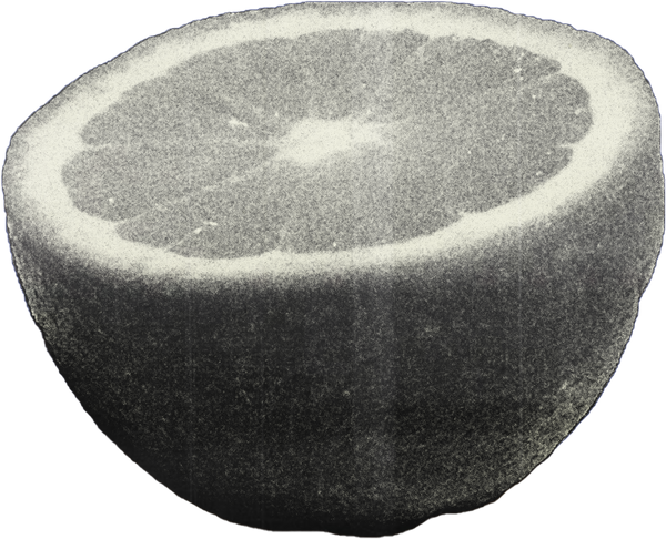 Duotone Rough Photocopied Orange