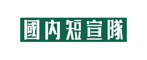 國內短宣隊
