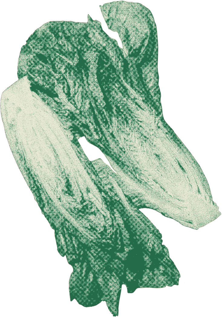 Duotone Rough Photocopied Chinese Cabbage