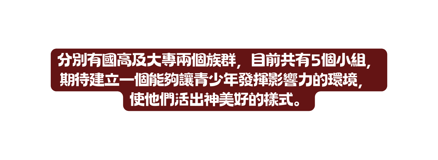 分別有國高及大專兩個族群 目前共有5個小組 期待建立一個能夠讓青少年發揮影響力的環境 使他們活出神美好的樣式